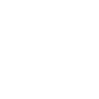 Divi placeholder